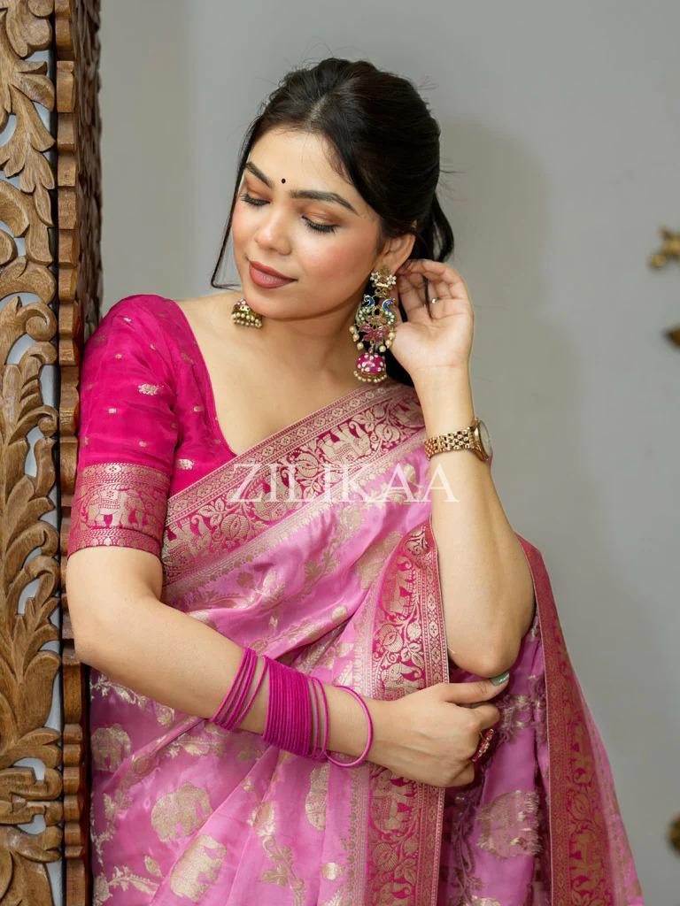 Baby Pink Elephant Banarasi Silk Saree - view 6 of 19