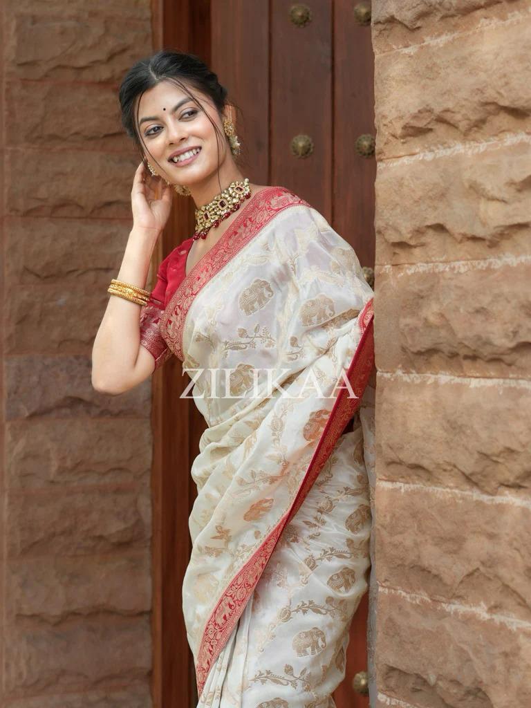 Ivory & Red Elephant Banarasi Silk Saree - view 4 of 16