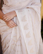 Ivory White Zari Silk Saree - view 7 of 7