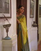 Lemon Yellow Banarasi Silk Saree with Brown Border - view 9 of 14