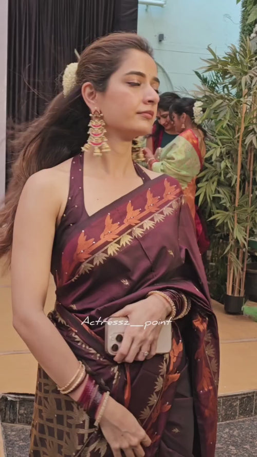Coffee Brown Contrast Border Silk Saree - video