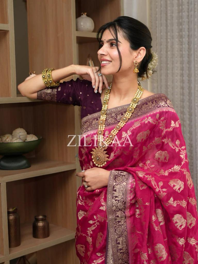 Rani Pink Elephant Banarasi Silk Saree - view 14 of 17