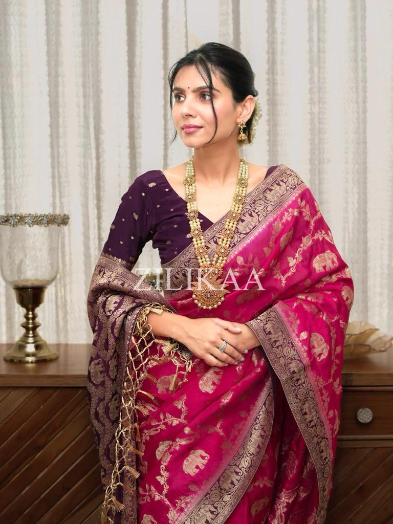 Rani Pink Elephant Banarasi Silk Saree - view 4 of 17