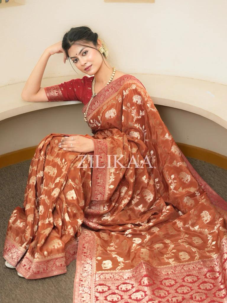 Rust Orange Elephant Banarasi Silk Saree - Shivay Libas