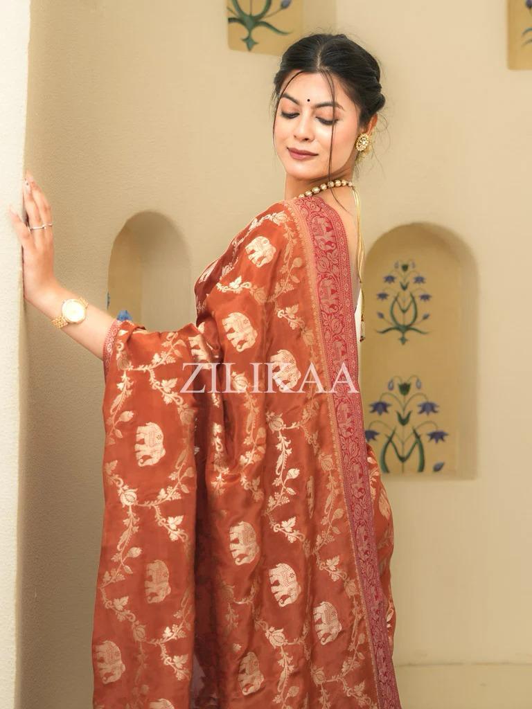 Rust Orange Elephant Banarasi Silk Saree - view 10 of 15