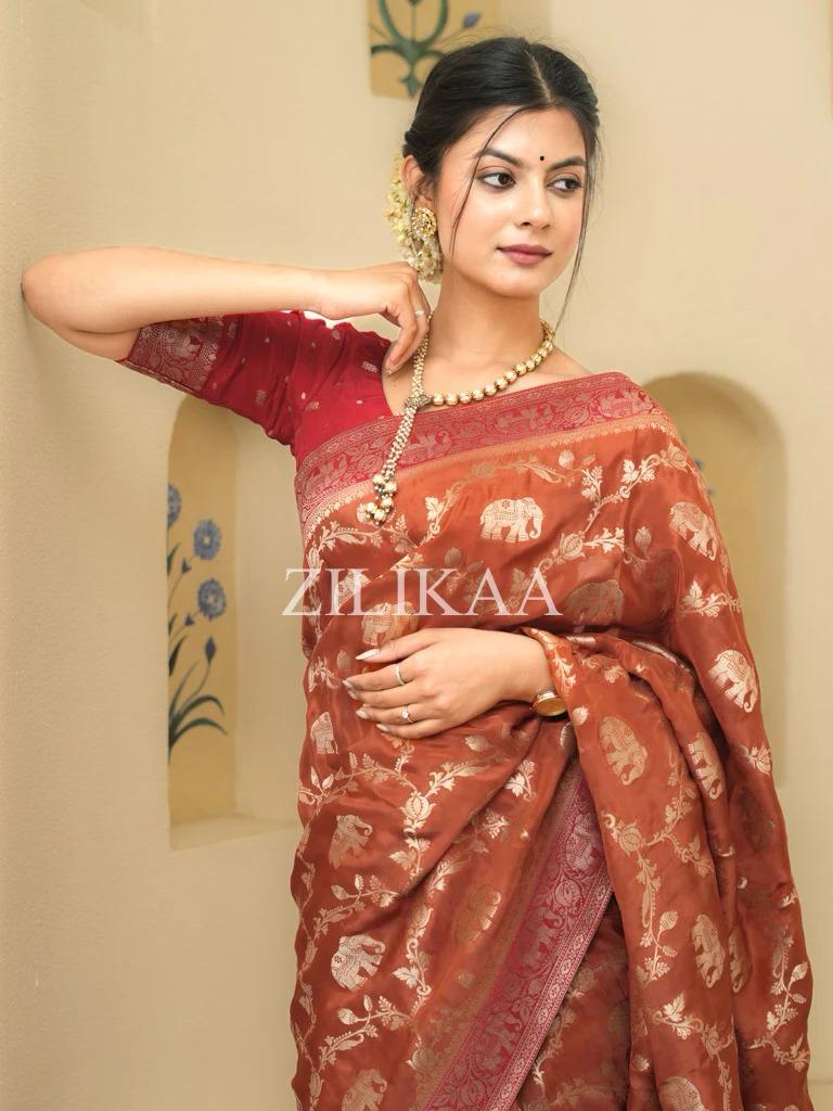 Rust Orange Elephant Banarasi Silk Saree - view 12 of 15