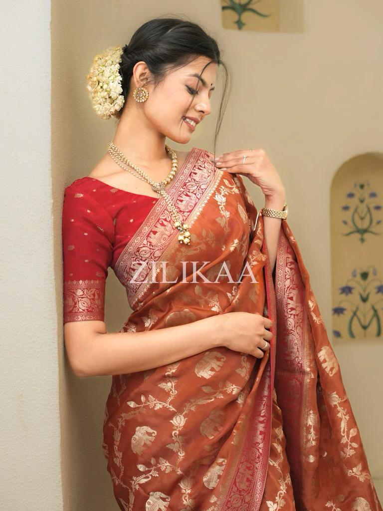 Rust Orange Elephant Banarasi Silk Saree - view 3 of 15
