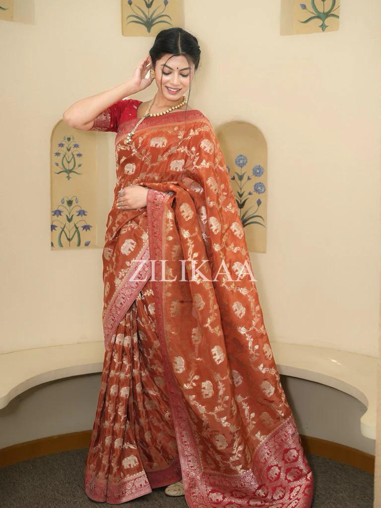 Rust Orange Elephant Banarasi Silk Saree - view 6 of 15